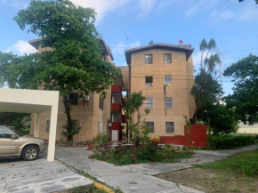 Agradable Departamento